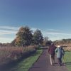 man-landscape-tree-nature-grass-person-1334225-pxhere.com_-scaled.jpg